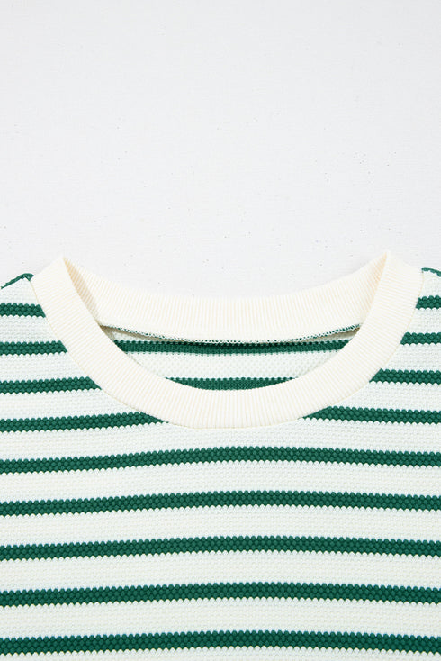 Stripe Scallop Lace Trim Ruffle Short Sleeves Crewneck Top