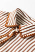 Stripe Shirt Collar Embroidered Trim Ruffle Hem Mini Dress