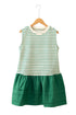 Stripe Woven Ruffled Sleeveless Mini Dress