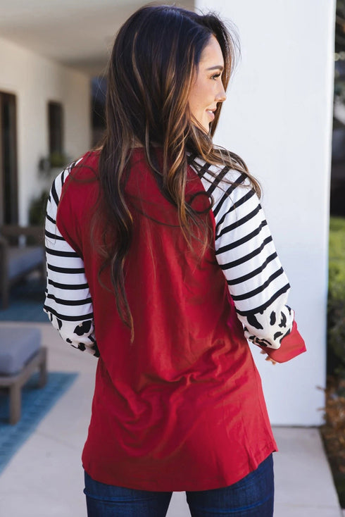 Striped Animal Print Colorblock Long Sleeve Top
