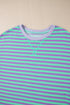 Striped Body Contrast Sleeve Crossed Stitch Drop Shoulder Casual Crew Neck Sweatshirt