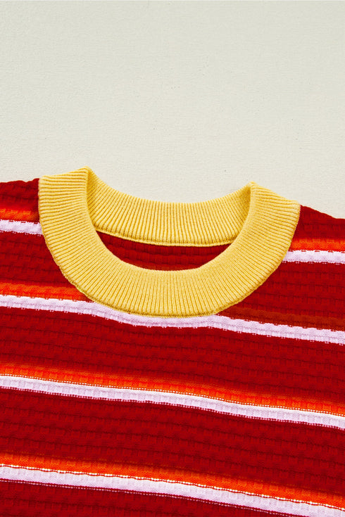 Striped Border Trim Knit Short Sleeve Sweaters