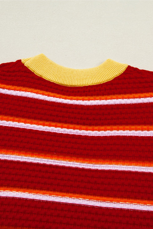 Striped Border Trim Knit Short Sleeve Sweaters