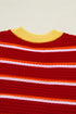 Striped Border Trim Knit Short Sleeve Sweaters