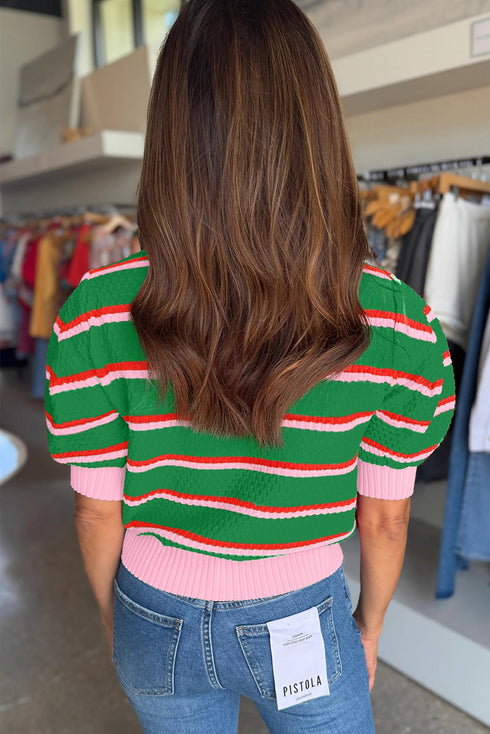 Striped Border Trim Knit Short Sleeve Sweaters