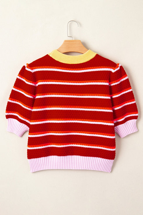 Striped Border Trim Knit Short Sleeve Sweaters
