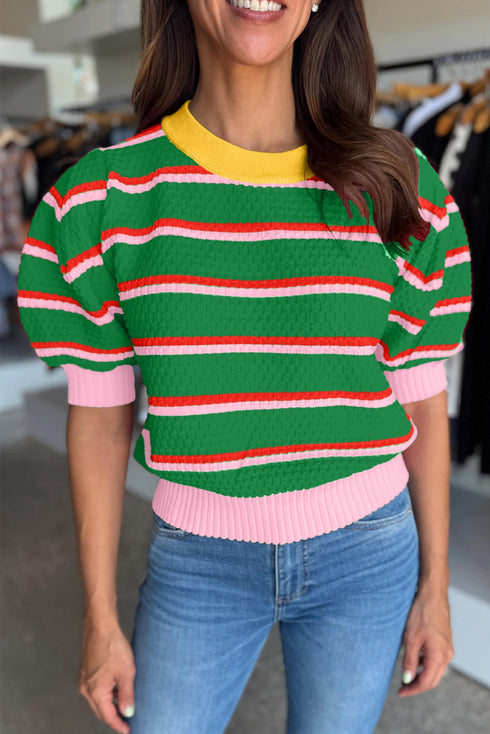 Striped Border Trim Knit Short Sleeve Sweaters
