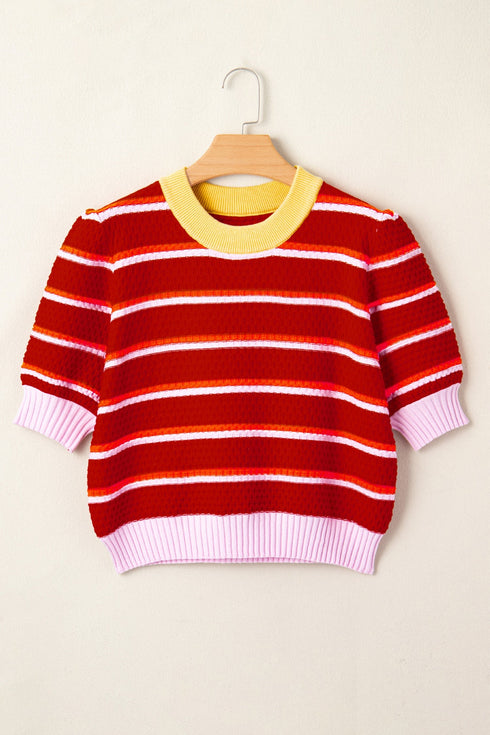 Striped Border Trim Knit Short Sleeve Sweaters