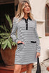 Striped Buttoned Front Collared Long Sleeve Pocket Mini Dress