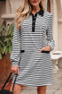 Striped Buttoned Front Collared Long Sleeve Pocket Mini Dress
