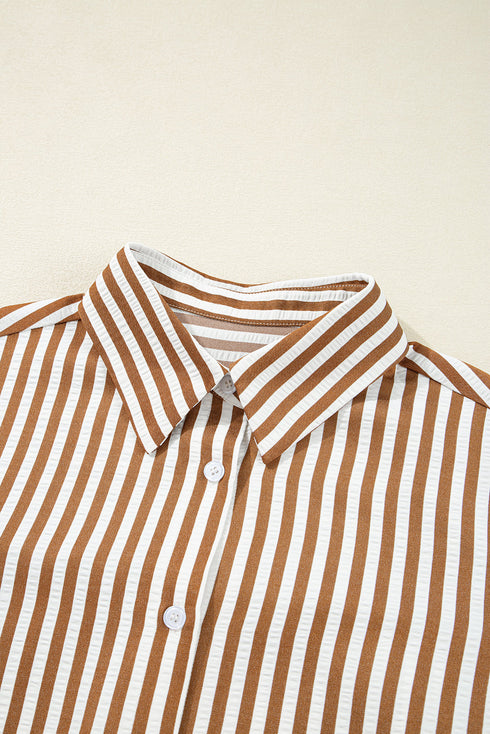 Striped Collared Long Sleeve Ruffle Hem Shirt Mini Dress
