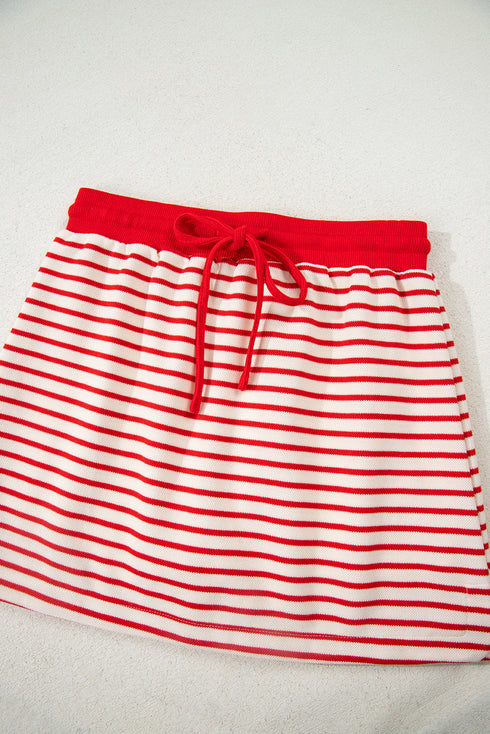 Striped Collared V Neck Pullover Skort Two Piece Dress