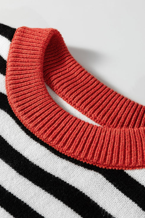 Striped Color Block Contrast Sleeve Knit Sweater
