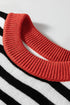 Striped Color Block Contrast Sleeve Knit Sweater