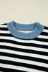 Striped Color Block Contrast Sleeve Knit Sweater