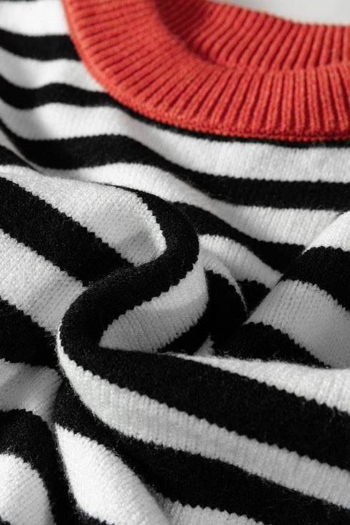 Striped Color Block Contrast Sleeve Knit Sweater
