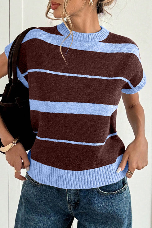 Striped Color Block Sleeveless Round Neck Sweater Vest