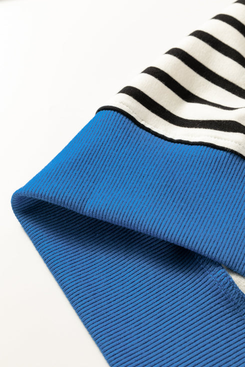 Striped Contrast Trim Button Placket Polo Top
