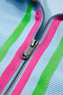 Striped Contrast Trim Ruffle Sleeve Zipped Collar Short Sets
