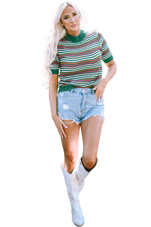 Striped Crochet Knit Mock Neck Short Sleeve Sweater