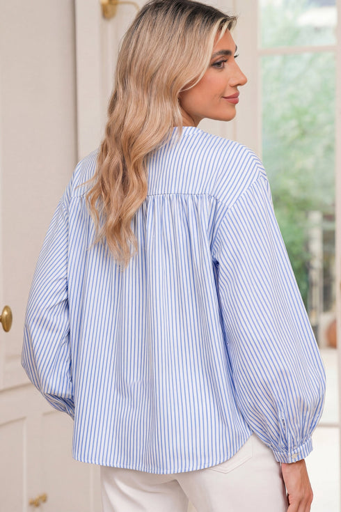 Striped Floral Embroidered Button Front Balloon Sleeve Blouse
