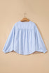 Striped Floral Embroidered Button Front Balloon Sleeve Blouse