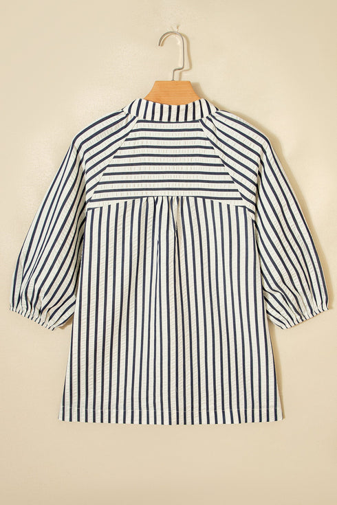 Striped Floral Embroidered V Neck Short Sleeve Blouse