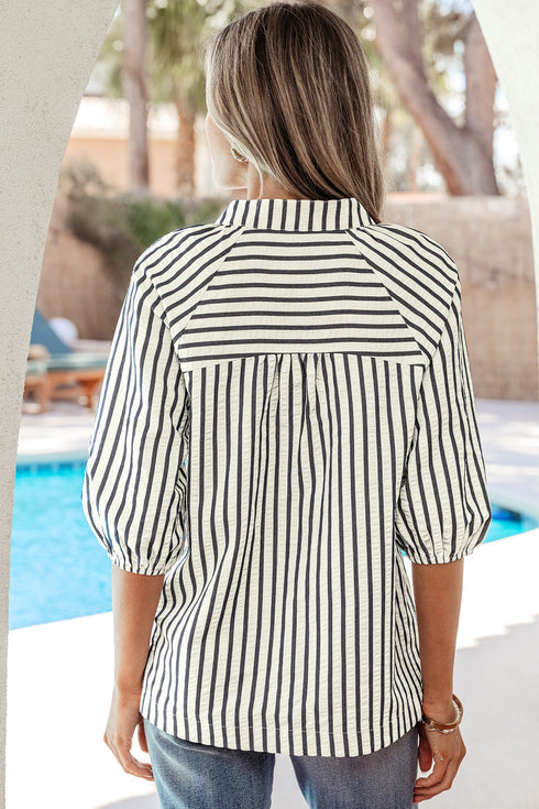 Striped Floral Embroidered V Neck Short Sleeve Blouse