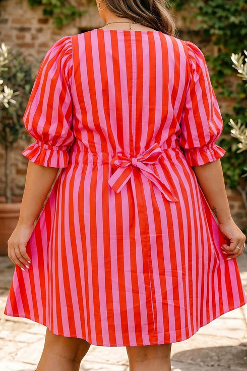 Striped Frilled Collar Button Neck Short Sleeve Mini Dress