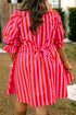 Striped Frilled Collar Button Neck Short Sleeve Mini Dress