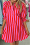 Striped Half Button Puff Sleeve H Line Mini Dress