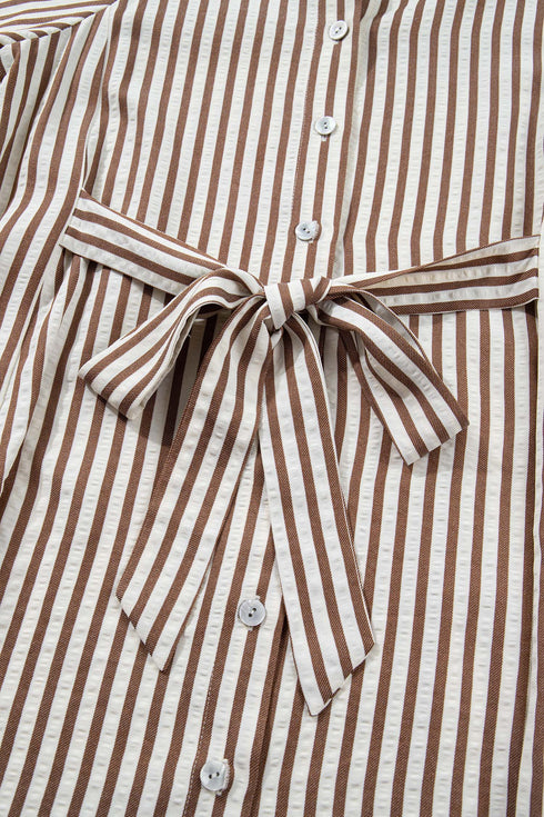 Striped Knot Waist Puff Sleeve Button Down Mini Dress
