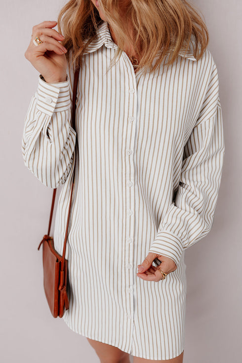 Striped Long Sleeve Button Down Shirt Mini Dress