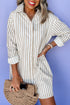 Striped Long Sleeve Button Down Shirt Mini Dress