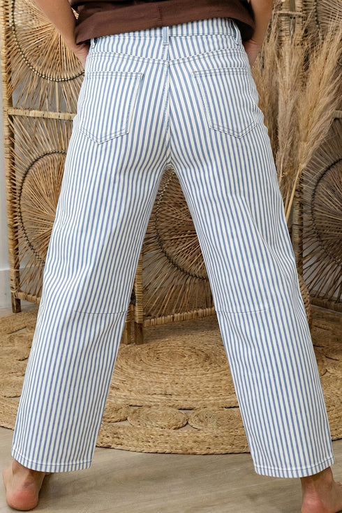 Striped Pattern Casual Denim Relaxed Barrel Jeans
