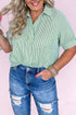 Striped Print Collared V Neck Short Sleeve Blouse