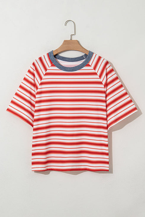 Striped Print Contrast Collar Raglan Sleeve Casual Shirt
