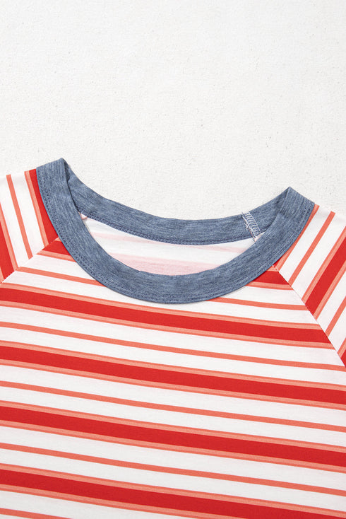 Striped Print Contrast Collar Raglan Sleeve Casual Shirt