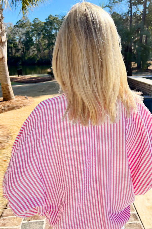 Striped Puff Sleeve Collared V Neck Top