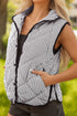 Striped Quilted Snap Front Contrast Trim Collared Vest