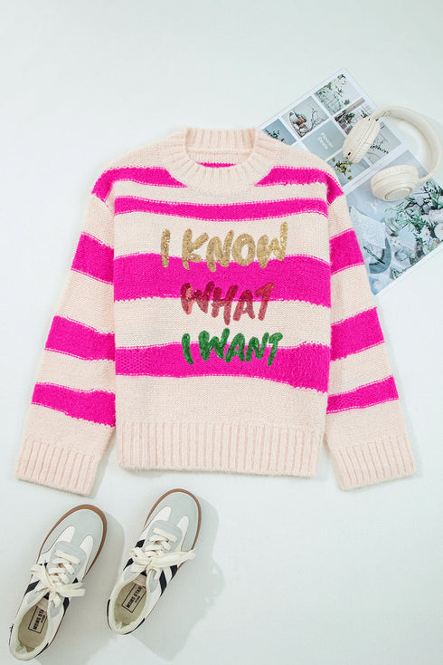 Striped Sequin Graphic Crew Neck Knit Sweater