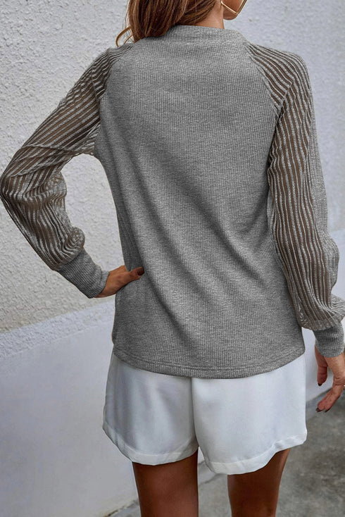 Striped Sheer Ribbed Mesh Long Sleeve Crew Neck Top