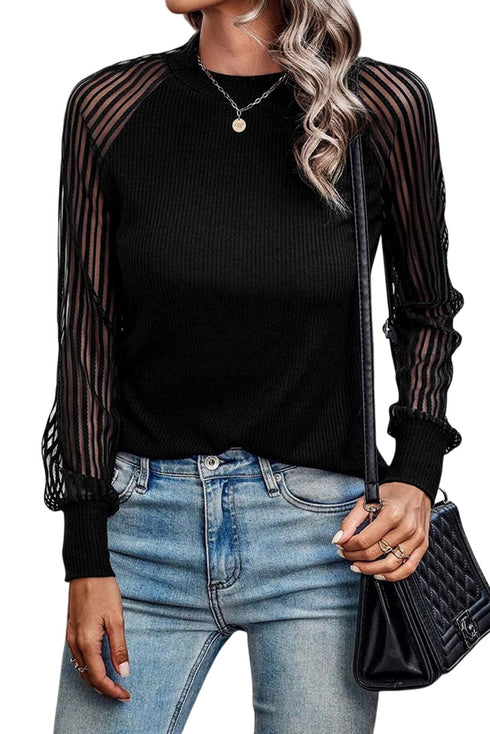 Striped Sheer Ribbed Mesh Long Sleeve Crew Neck Top