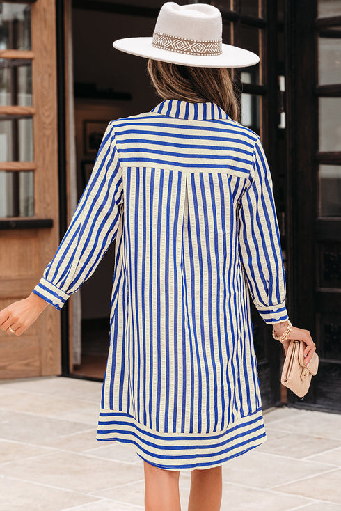 Striped Textured Collared Half Button Pocket Detail Mini Dress