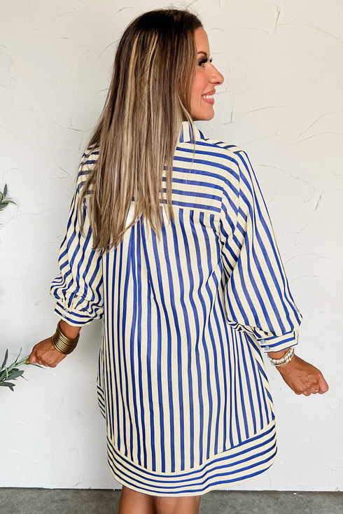 Striped Textured Collared Half Button Pocket Detail Mini Dress