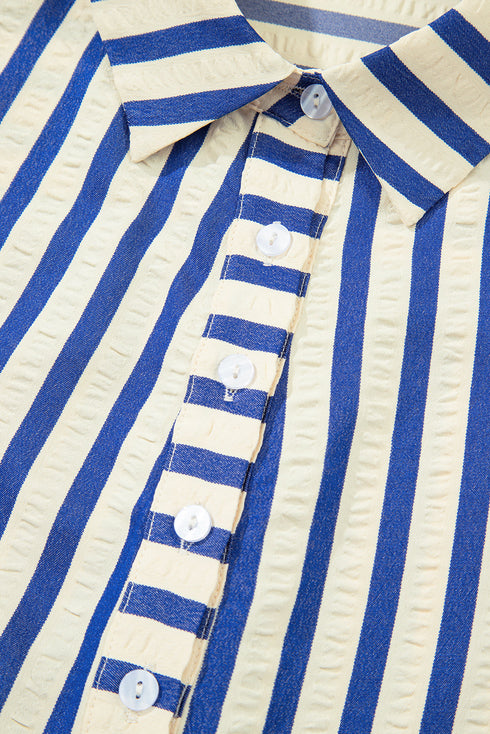 Striped Textured Collared Half Button Pocket Detail Mini Dress