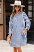 Striped Textured Collared Half Button Pocket Detail Mini Dress
