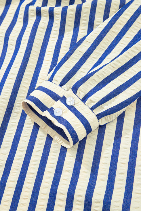 Striped Textured Collared Half Button Pocket Detail Mini Dress