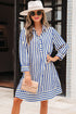 Striped Textured Collared Half Button Pocket Detail Mini Dress