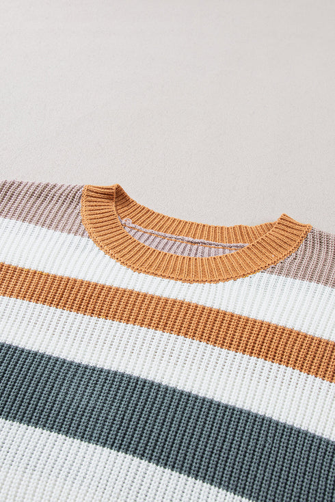 Striped Textured Knit Crew Neck Pullover Sweater